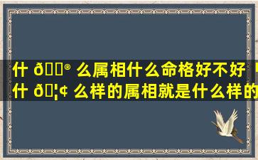 什 💮 么属相什么命格好不好「什 🦢 么样的属相就是什么样的命」